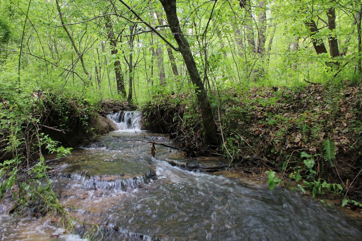 Greasy Branch Road Lot Wp005, Salyersville, KY 41465 Land and Farm