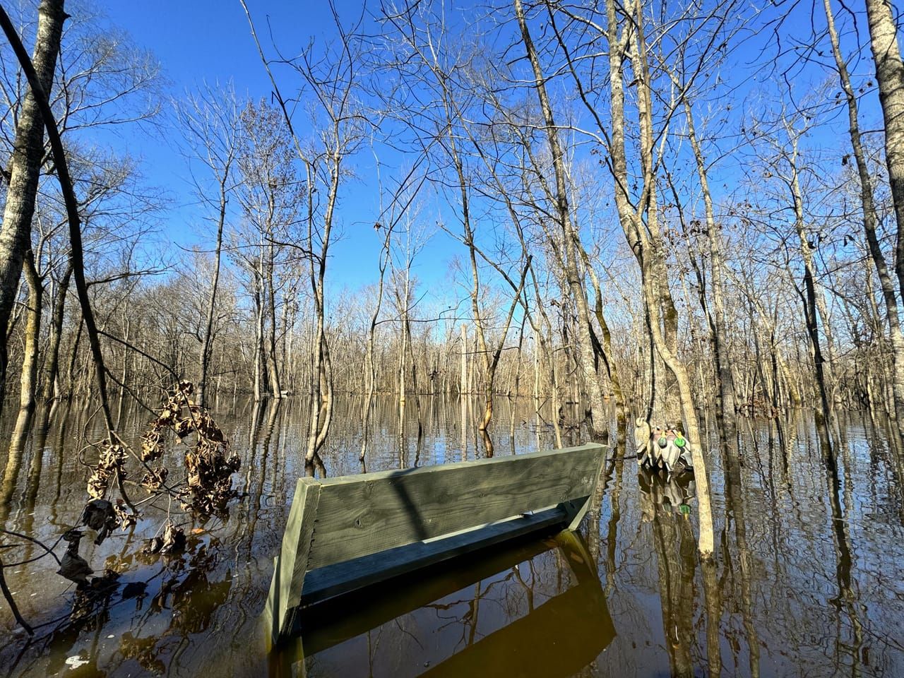 329 Woodruff 645, Mccrory, AR 72101 Land and Farm