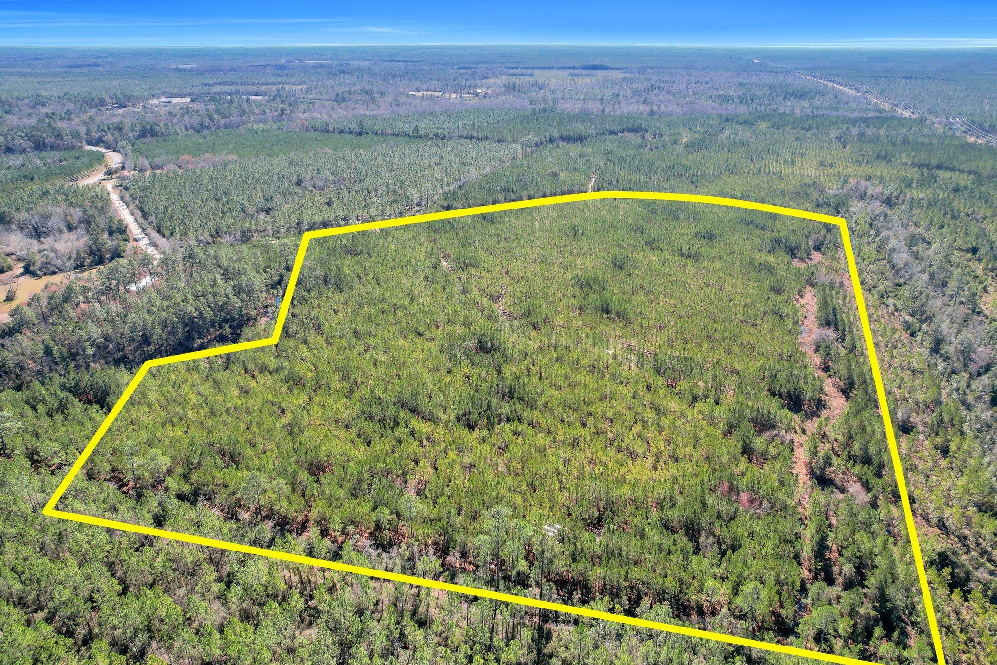 Tract 1 Dewey Rd., Nahunta, GA 31553 MLS 10250047 Land and Farm