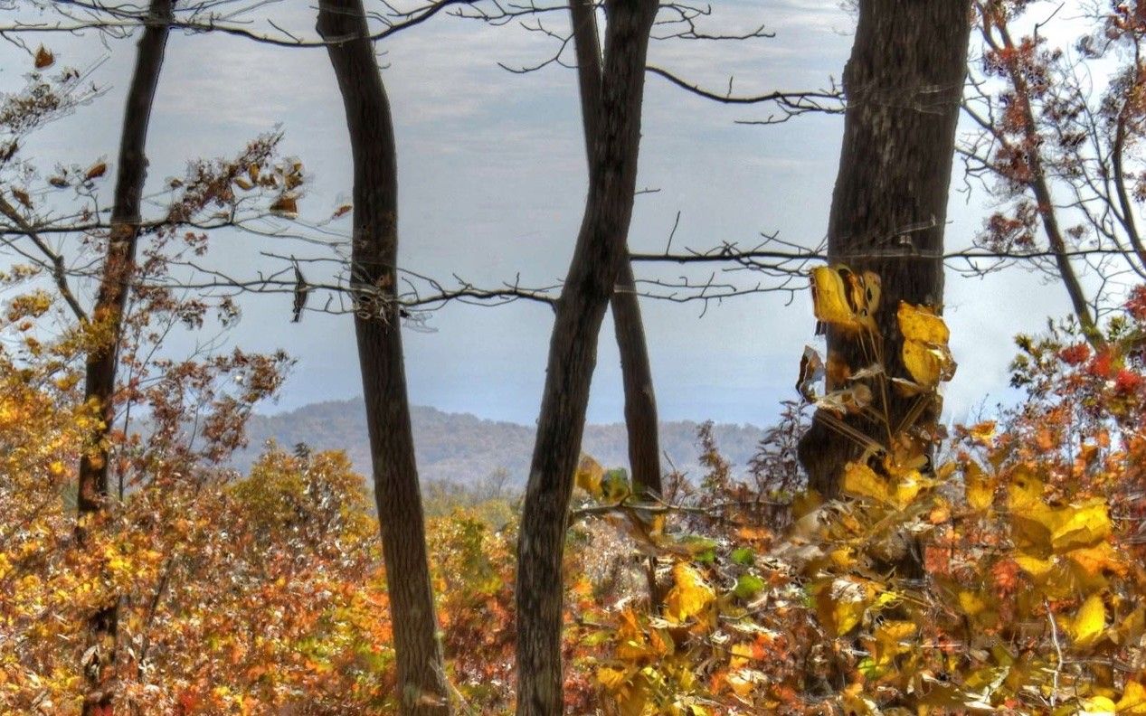 1.77 Acres, Lt273 Falling Waters, Ellijay, GA 30536 Land and Farm