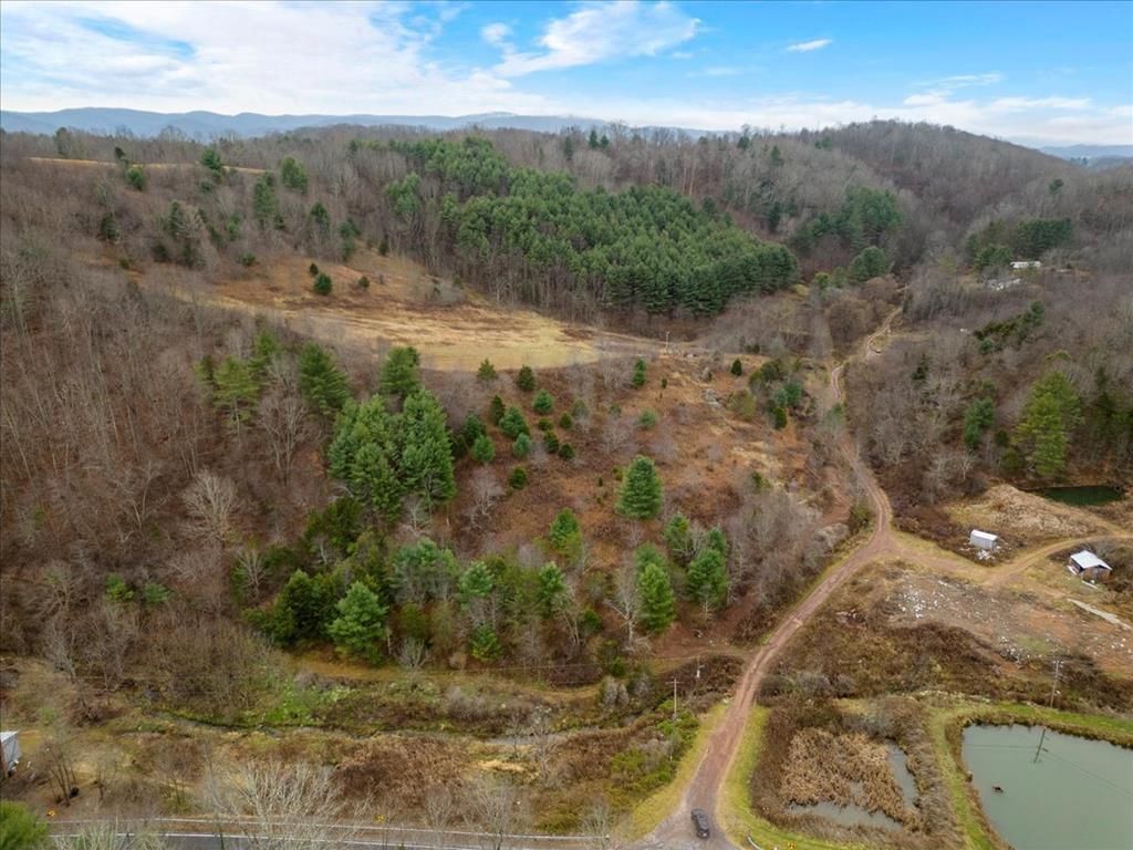 Grayson Turnpike, Crockett, VA 24323 MLS 92034 Land and Farm