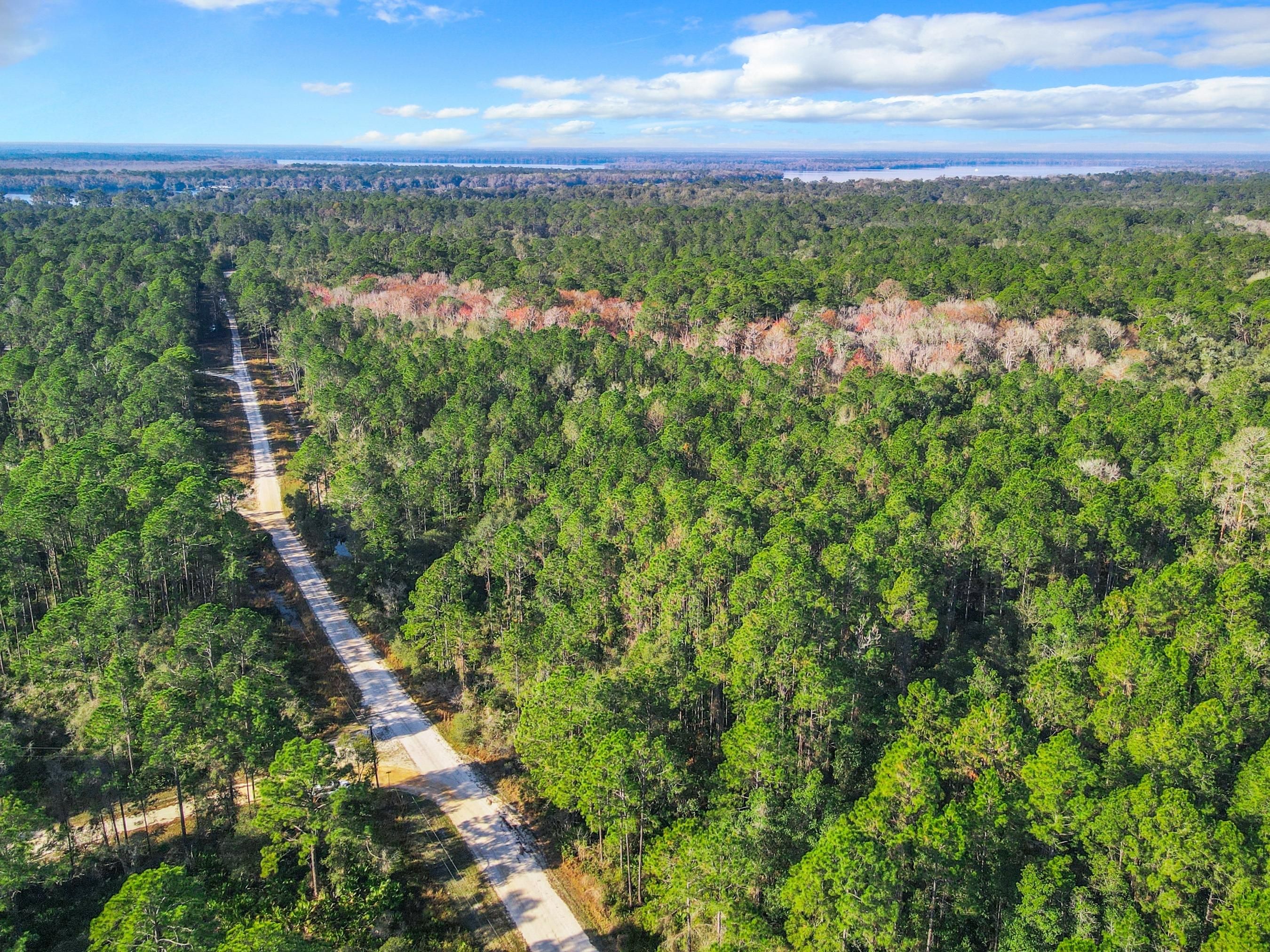 5.03 Acres, 123 Meadow Dr, FL 32139 Land and Farm