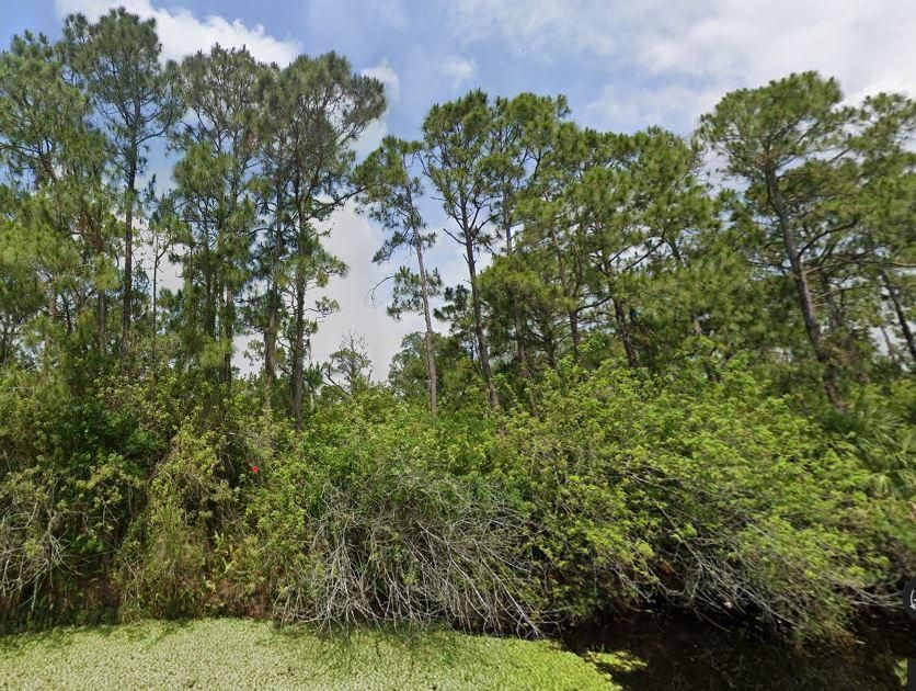 7041 Flaghole Rd, Clewiston, FL 33440 MLS 224012185 Land and Farm