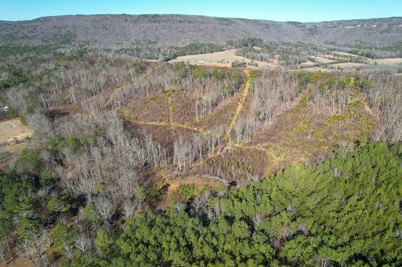 Jamestown Road, LotWP001, Menlo, GA 30731 Land and Farm