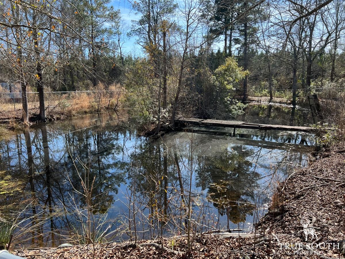 619 Nix Street West, Hampton, SC 29924 Land and Farm