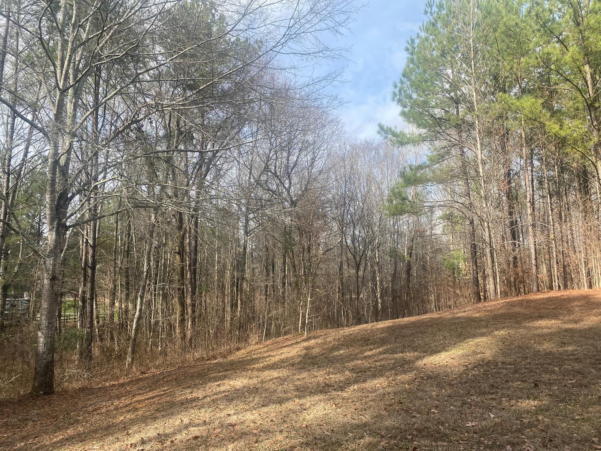 North Brandon Blvd, Brandon, MS 39042 Land and Farm