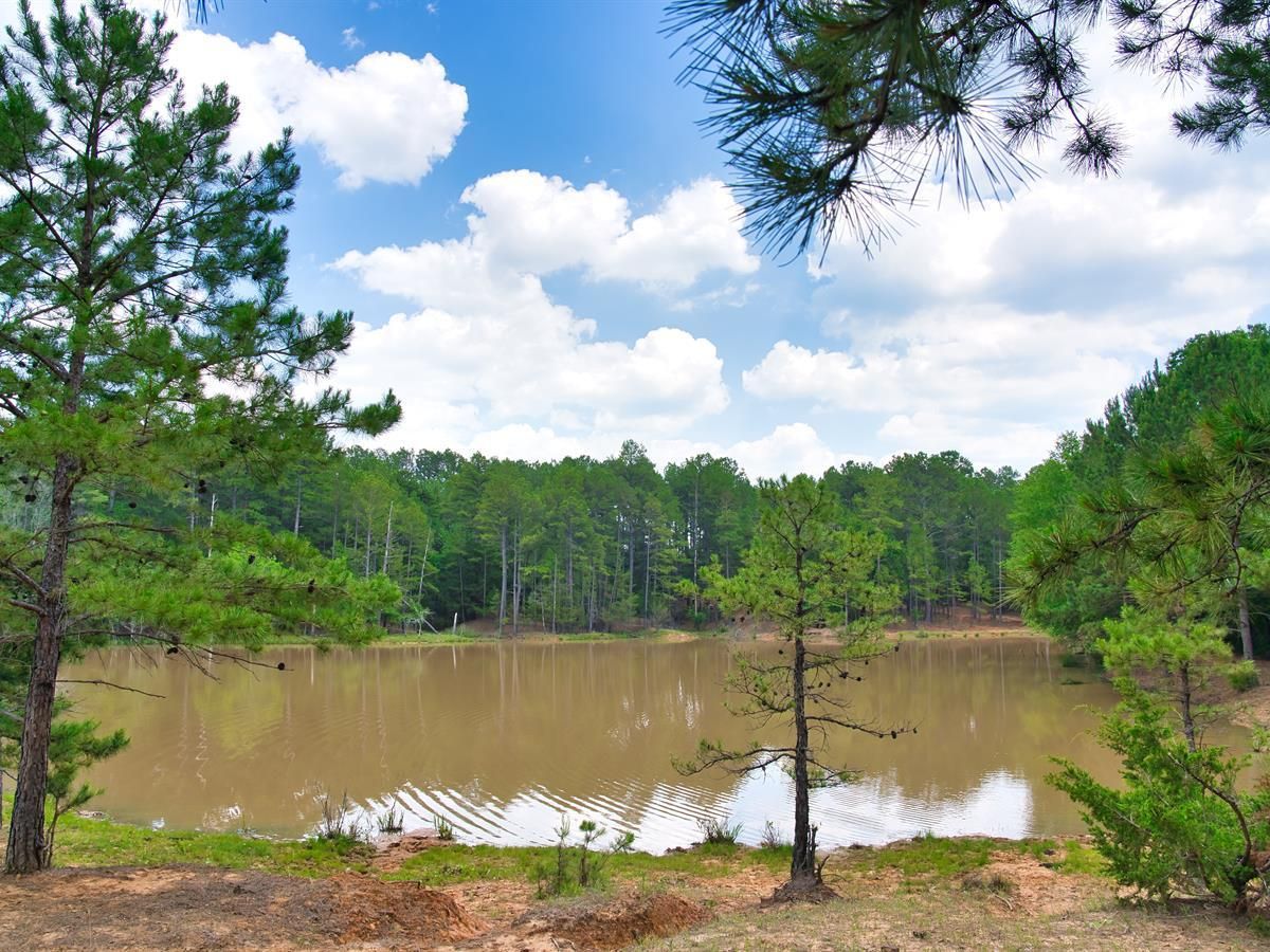 20 acres in Farris, OK, 74525 Land and Farm