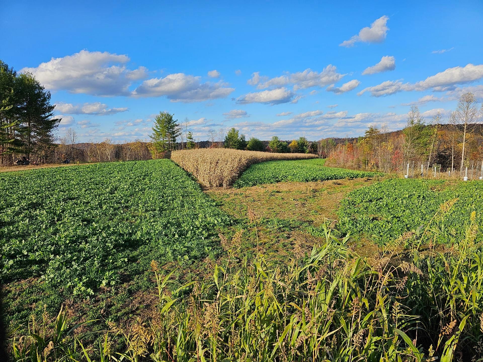 Ohio 335, Beaver, OH 45613 Land and Farm