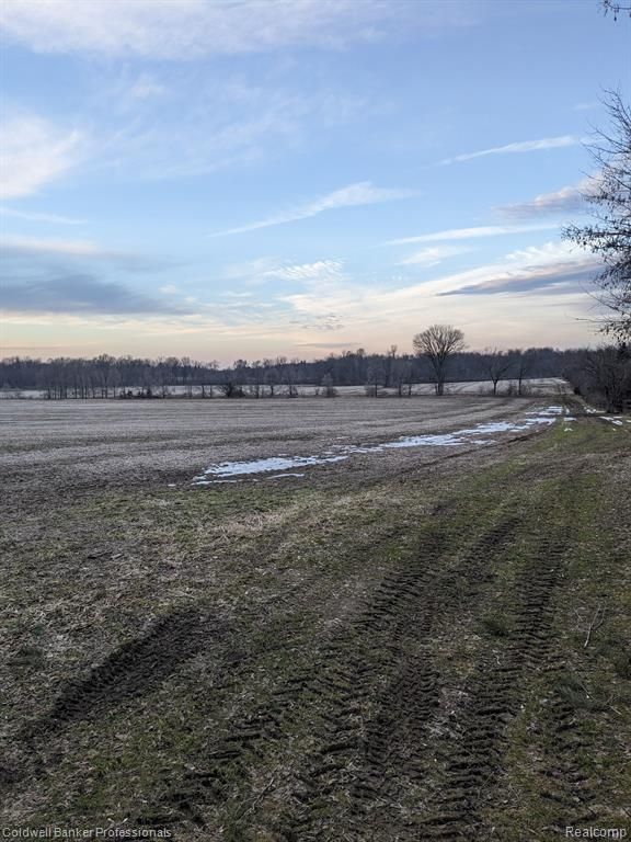0000 Peppermill Rd., Attica, MI 48412 MLS 20240001822 Land and Farm