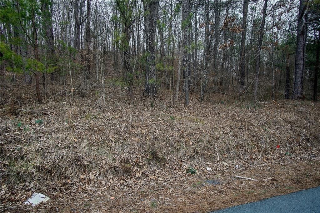 1 Acres, 00 Moores Ferry Road, Plainville, GA 30733 Land and Farm