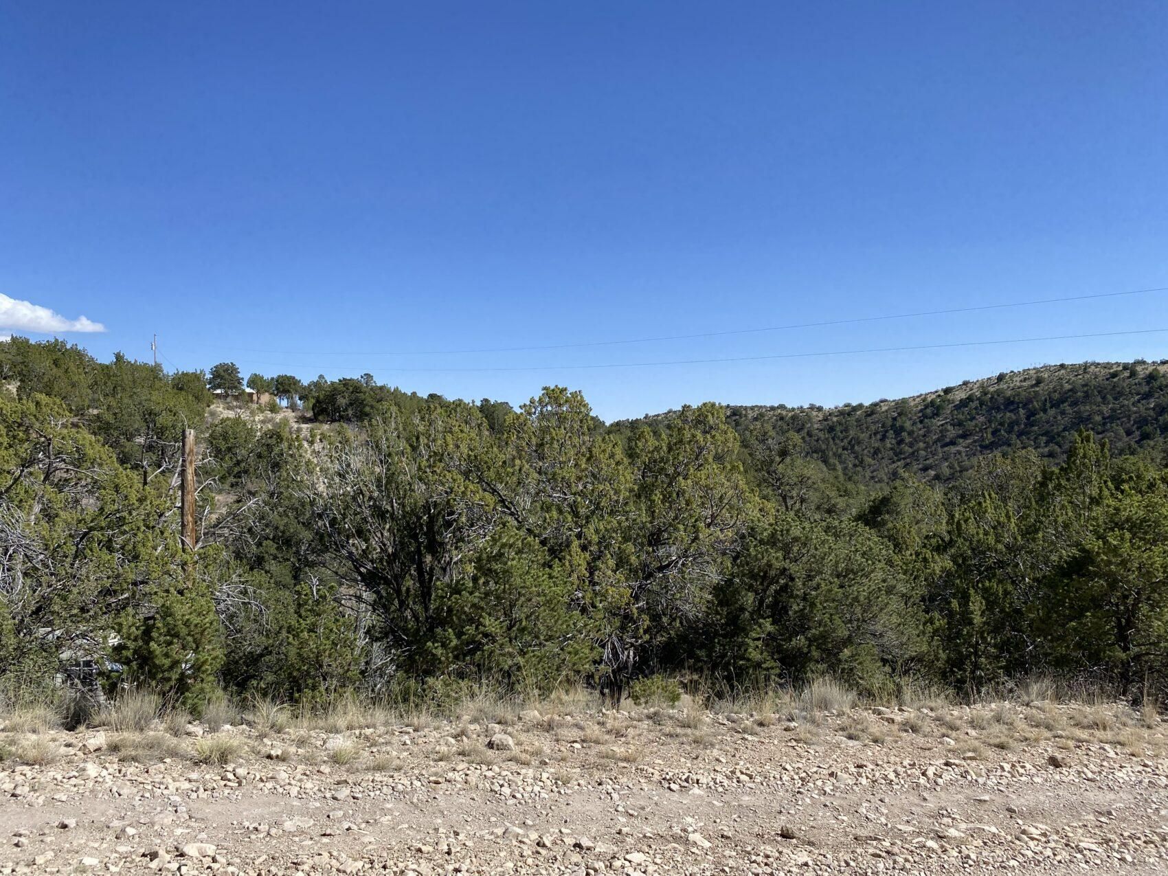 6139 Canyon Rd, Timberon, NM 88350 MLS R045011 Land and Farm