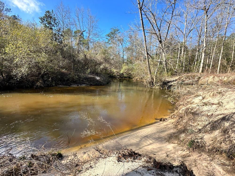 3305 Purvis To Columbia Road, Purvis, MS 39475 Land and Farm