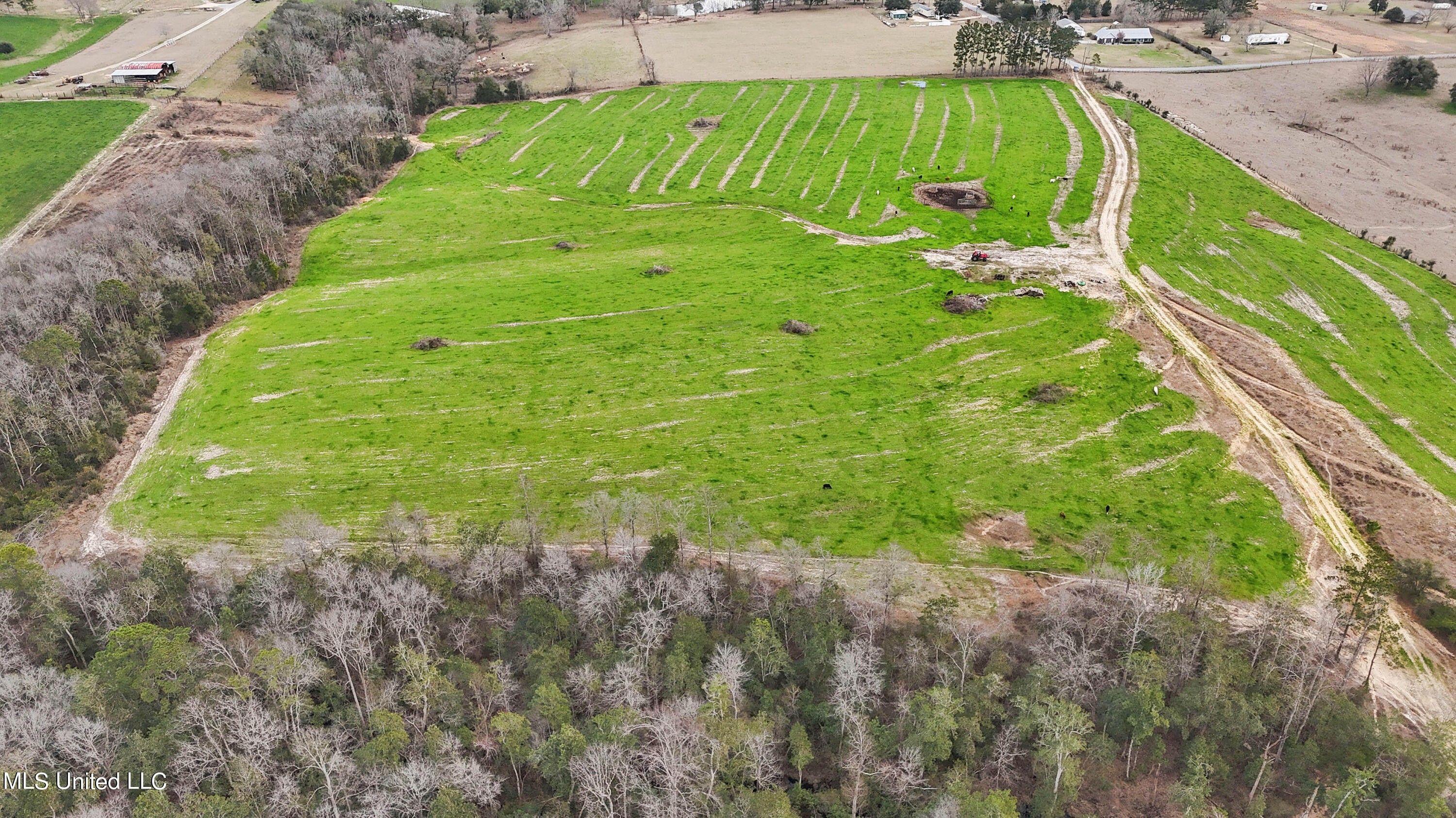 110 Acres, 0 Holland Road, Lucedale, MS 39452 Land and Farm