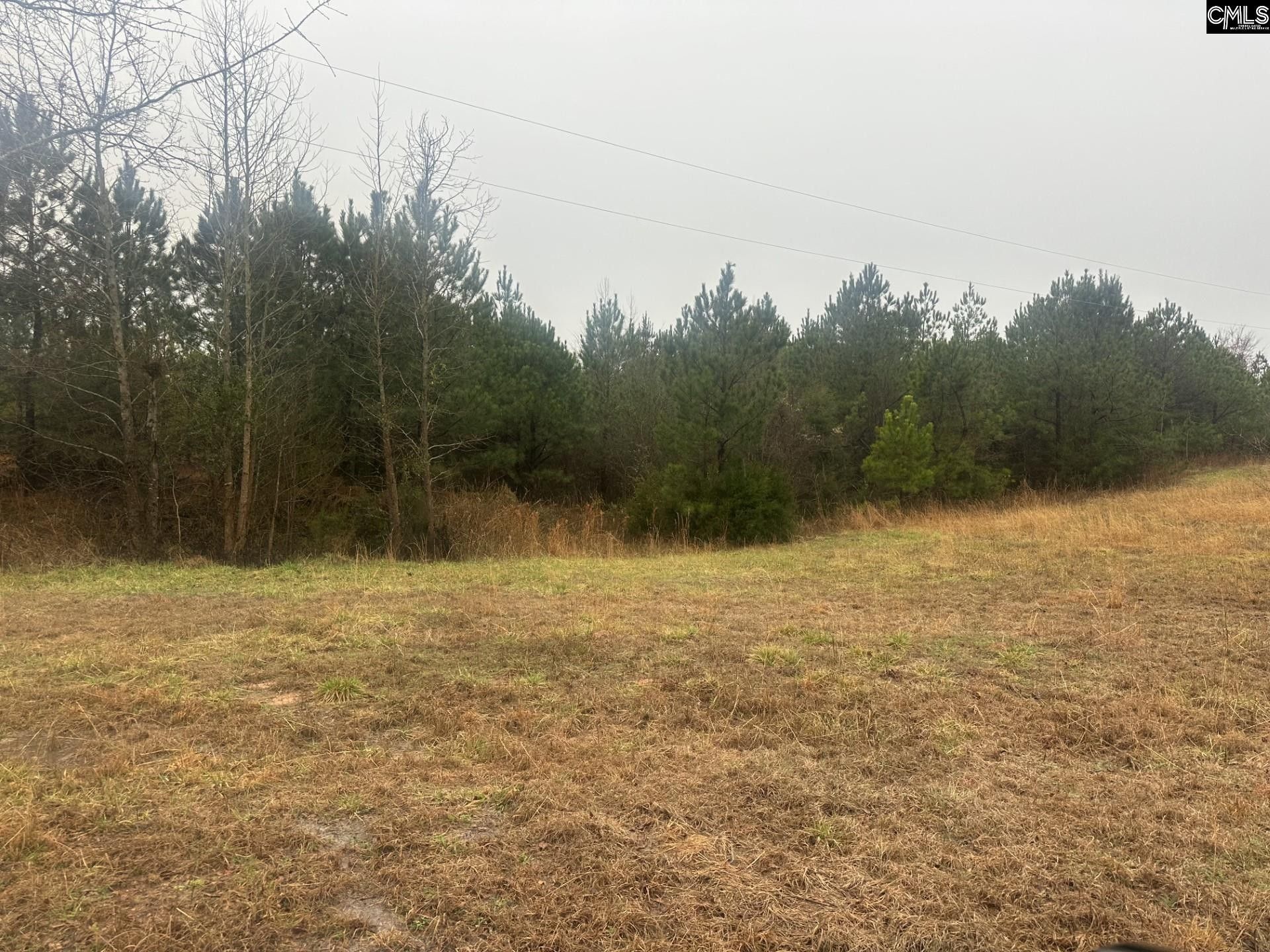 15 Acres, 000 Lathrop Road, Pomaria, SC 29126 Land and Farm
