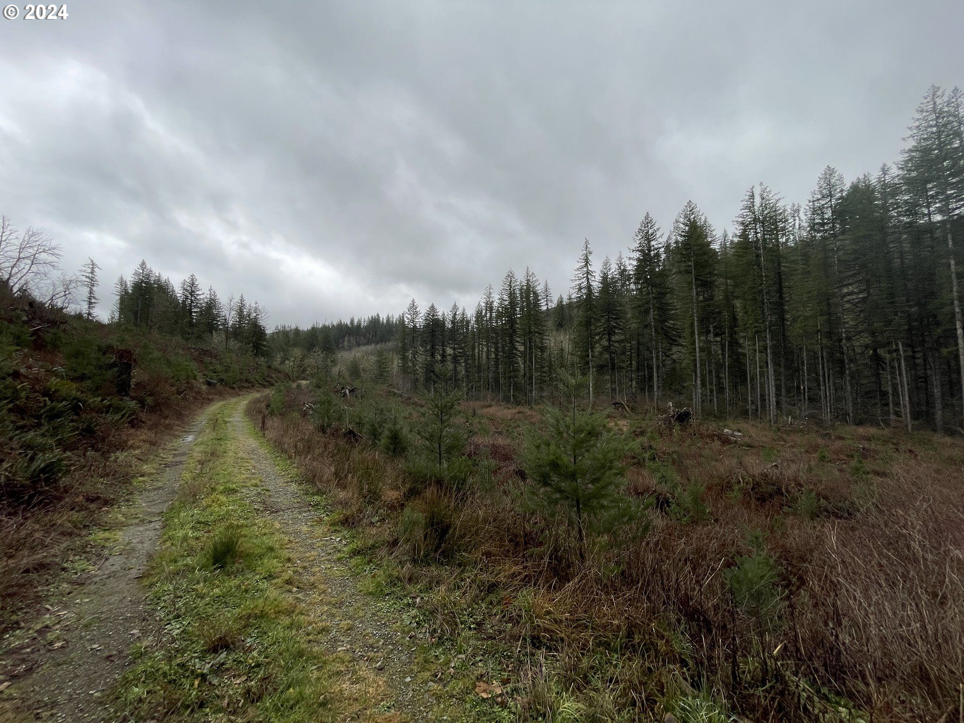 20 Acres, 0 NE Sunset Falls Dr, Yacolt, WA 98675 Land and Farm