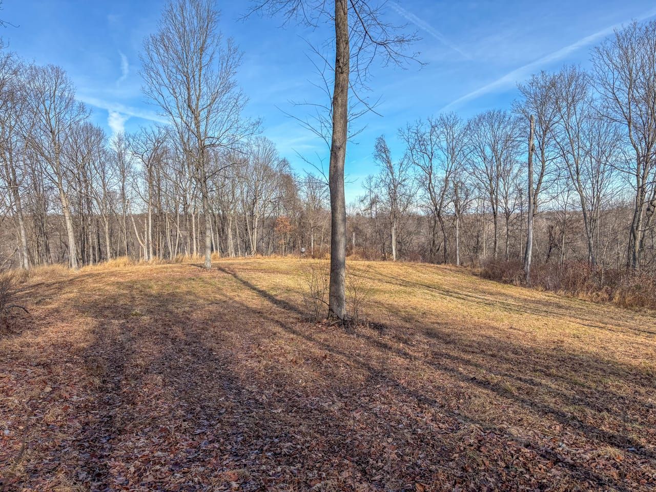 44 Acres, 0 DOUGAN Rd, Patriot, OH 45658 Land and Farm