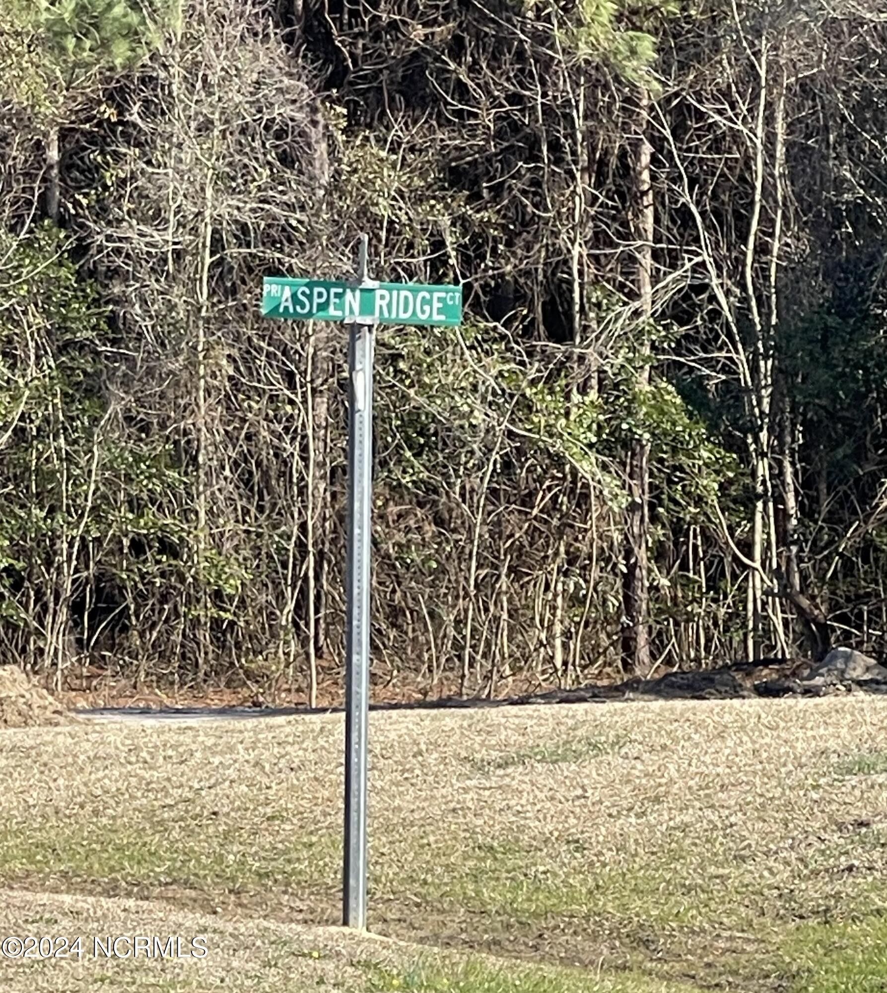 0.39 Acres, 14 Aspen Ridge Court, Deep Run, NC 28525 Land and Farm