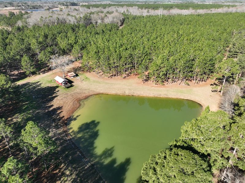 117 Acres, McBryant Road, LotWP001, Pitts, GA 31072 Land and Farm