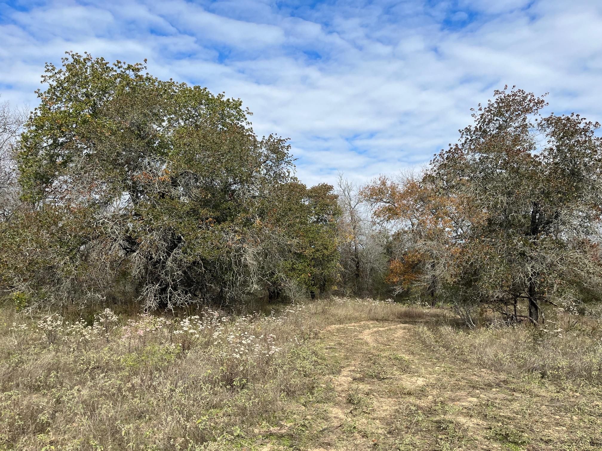 10 Acres, b Rd, Somerset, TX 78069 Land and Farm