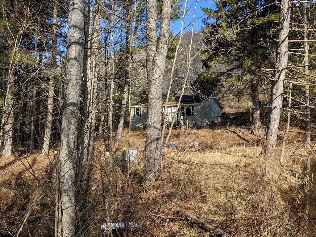 196 Button Road, Port Allegany, PA 16743 MLS 31717878 Land and Farm