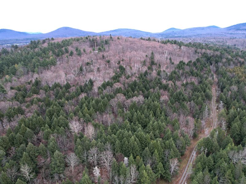 1100 East Hill Road, Plainfield, VT 05667 MLS 4985063 Land and Farm