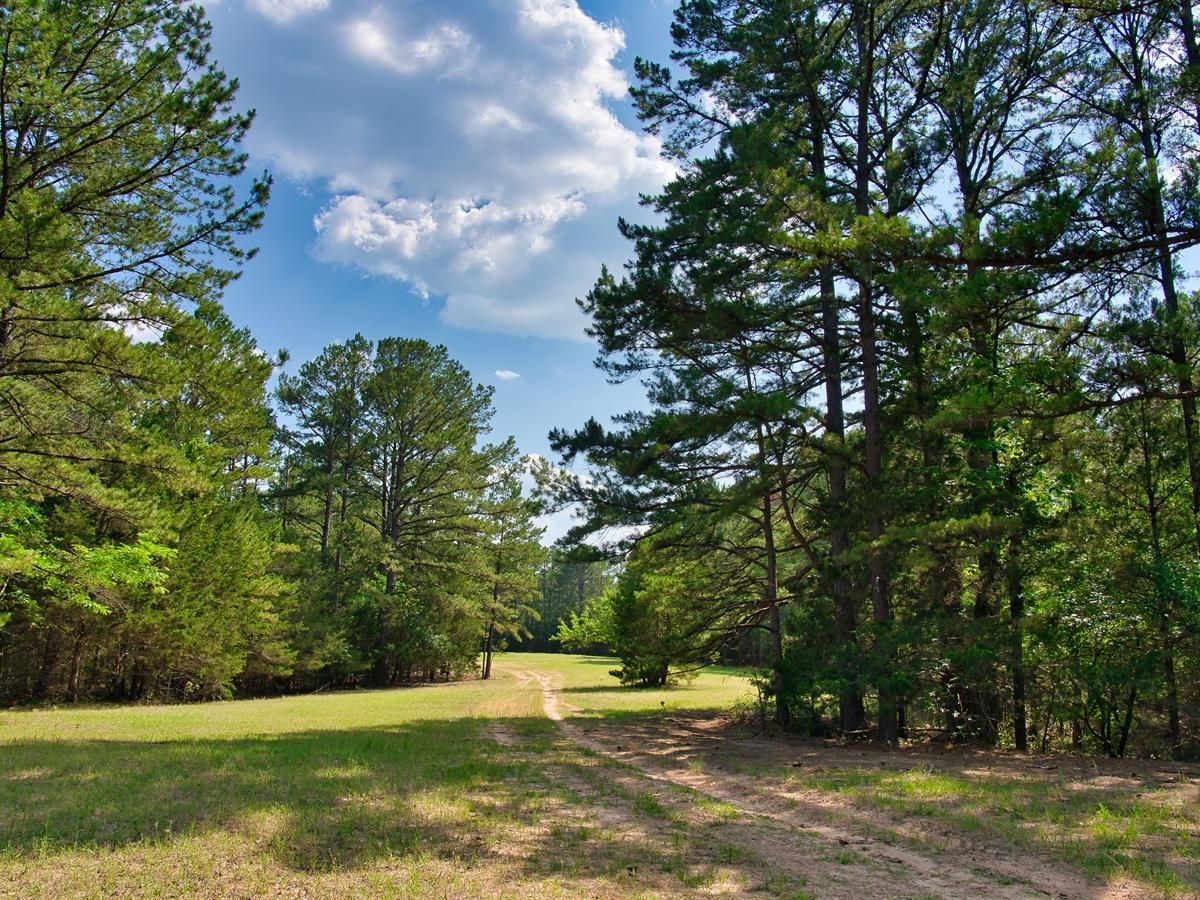 10 acres in Atoka, OK, 74525 Land and Farm