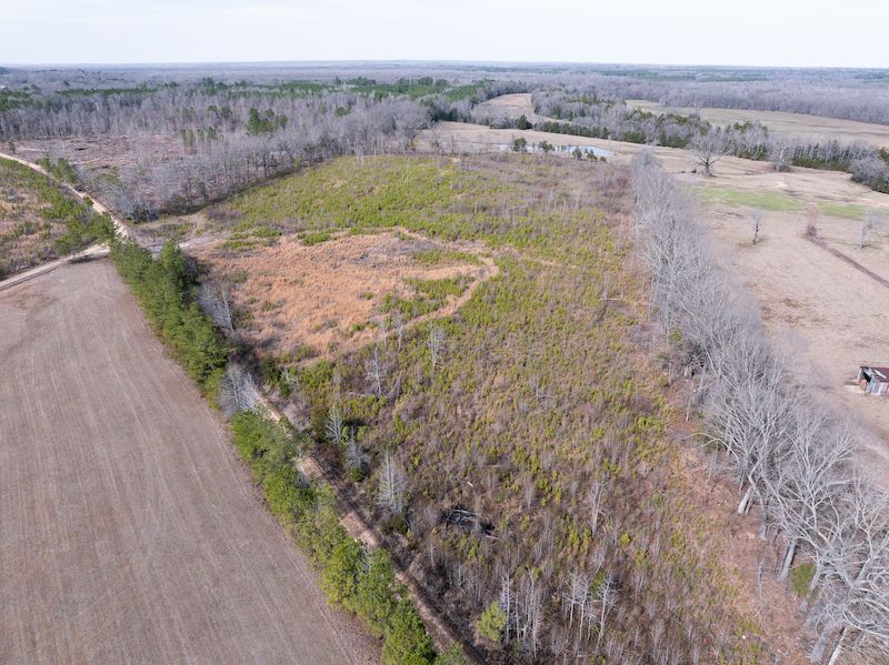 17 Acres, Jack Williams Rd., LotWP002, Cedar Bluff, MS 39741 Land