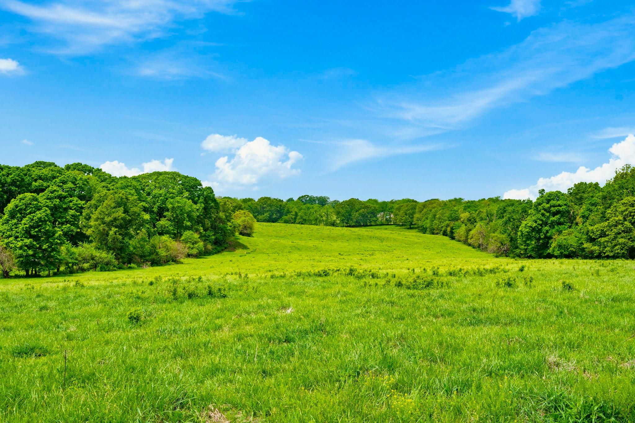 20 Acres, Hawthorne Lane, Highlandville, MO 65669 Land and Farm