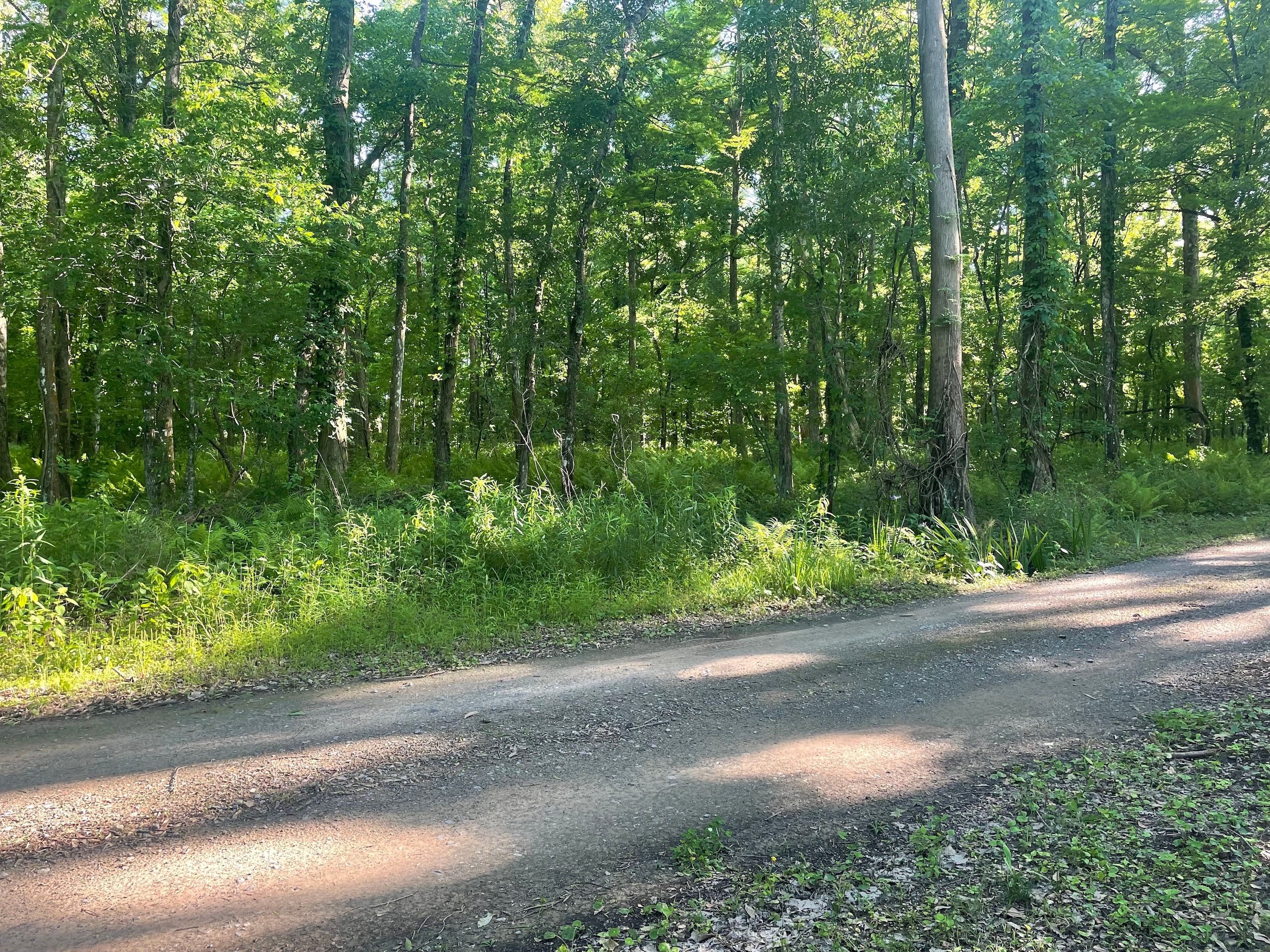 6.75 Acres, Hwy 105, LotWP001, Krotz Springs, LA 70750 Land and Farm