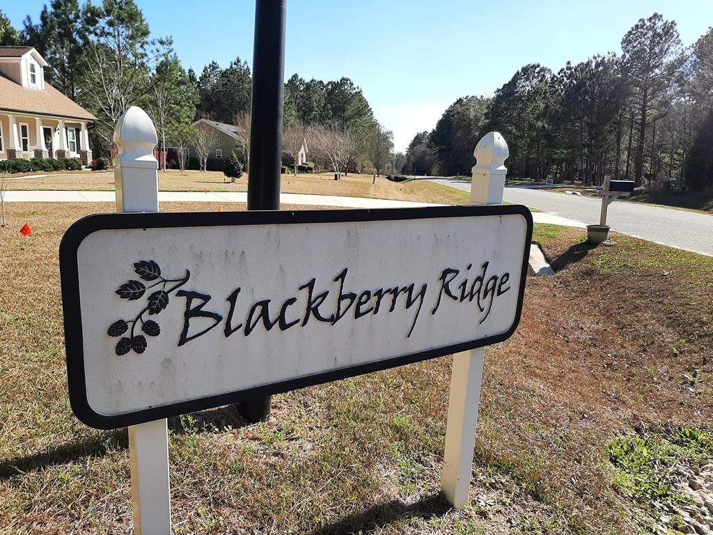 0.77 Acres, 164 Blackberry Lane, Thomasville, GA 31792 Land and Farm