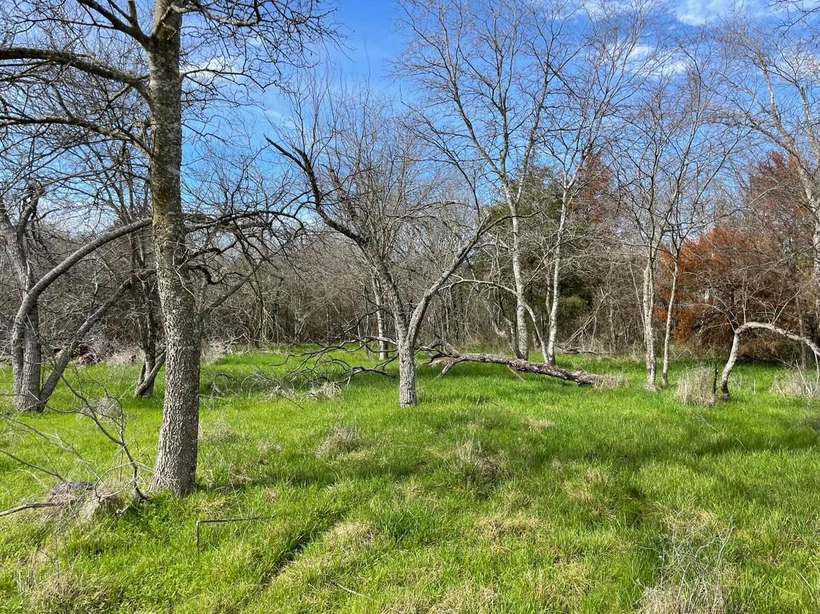 15.9 Acres, Groesbeck, TX 76642 Land and Farm