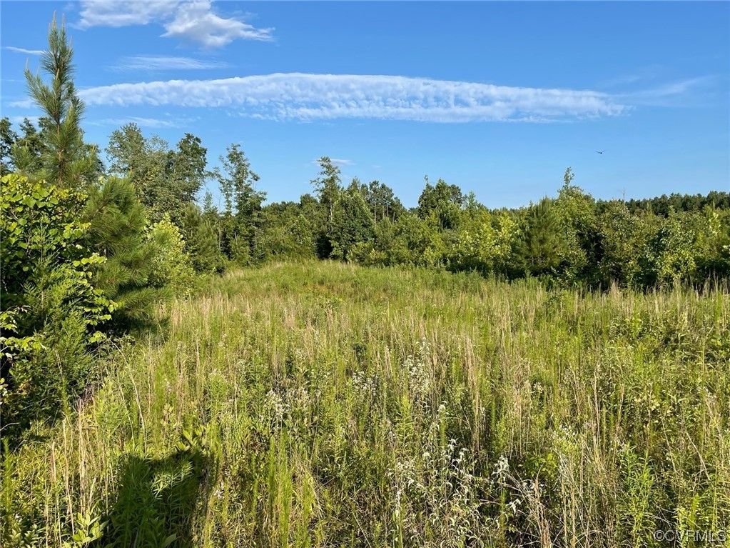 24518 Shippings Road, Mckenney, VA 23872 MLS 2403664 Land and Farm