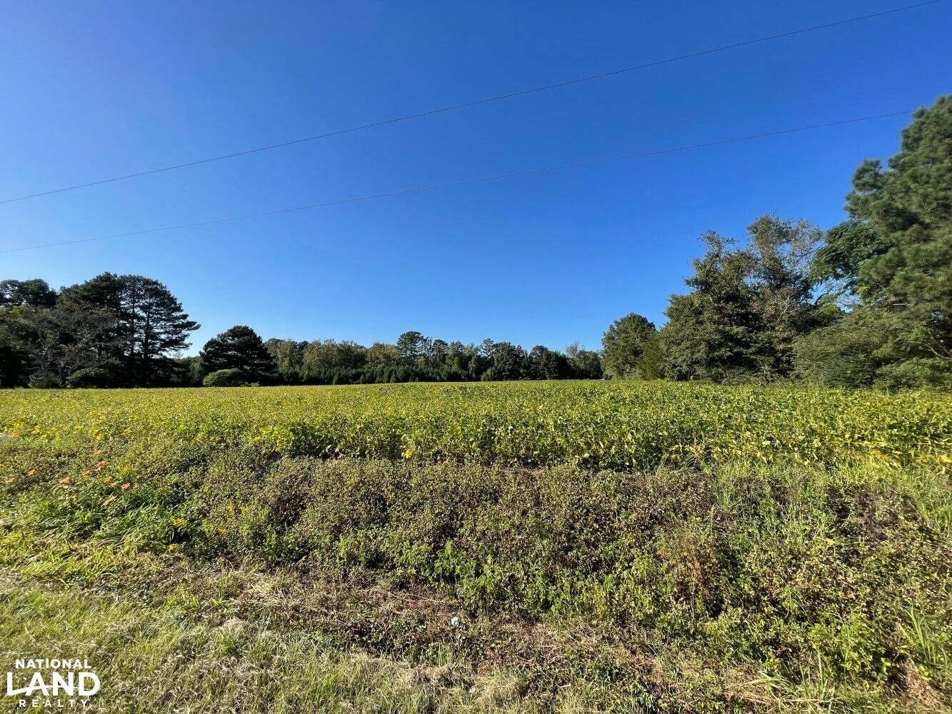 2.33 Acres, 0 Old Dam Road, Kenly, NC 27542 Land and Farm