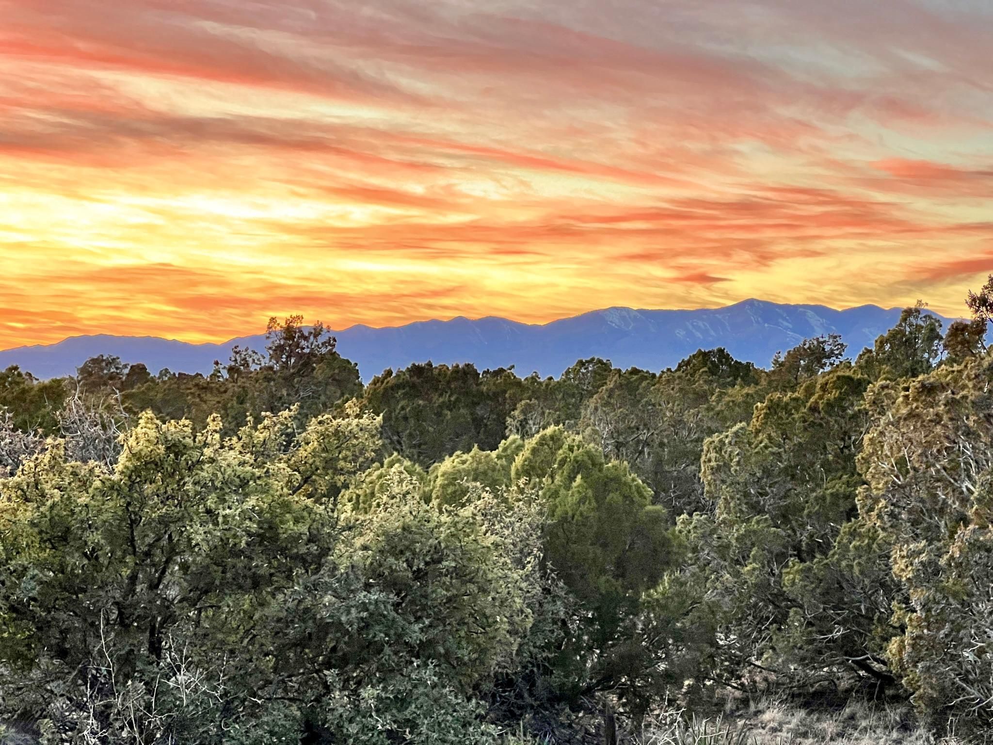 48 Keres Trl, Mountainair, NM 87036 Land and Farm