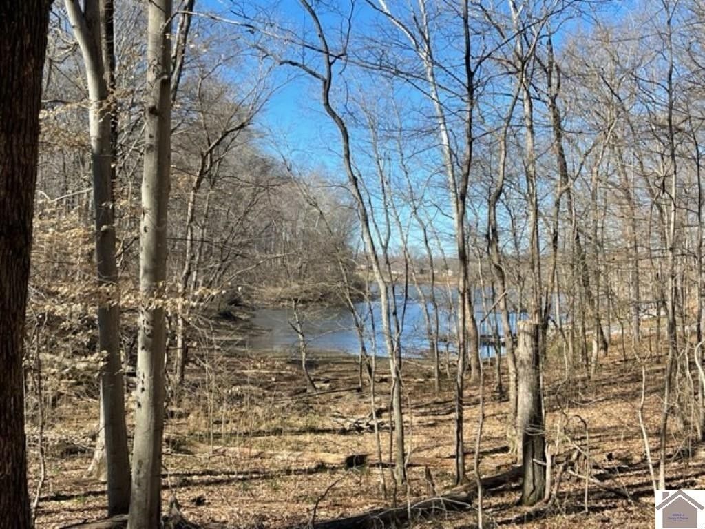 Lots 62 and 63 Periwinkle, Cadiz, KY 42211 MLS 125362 Land and Farm