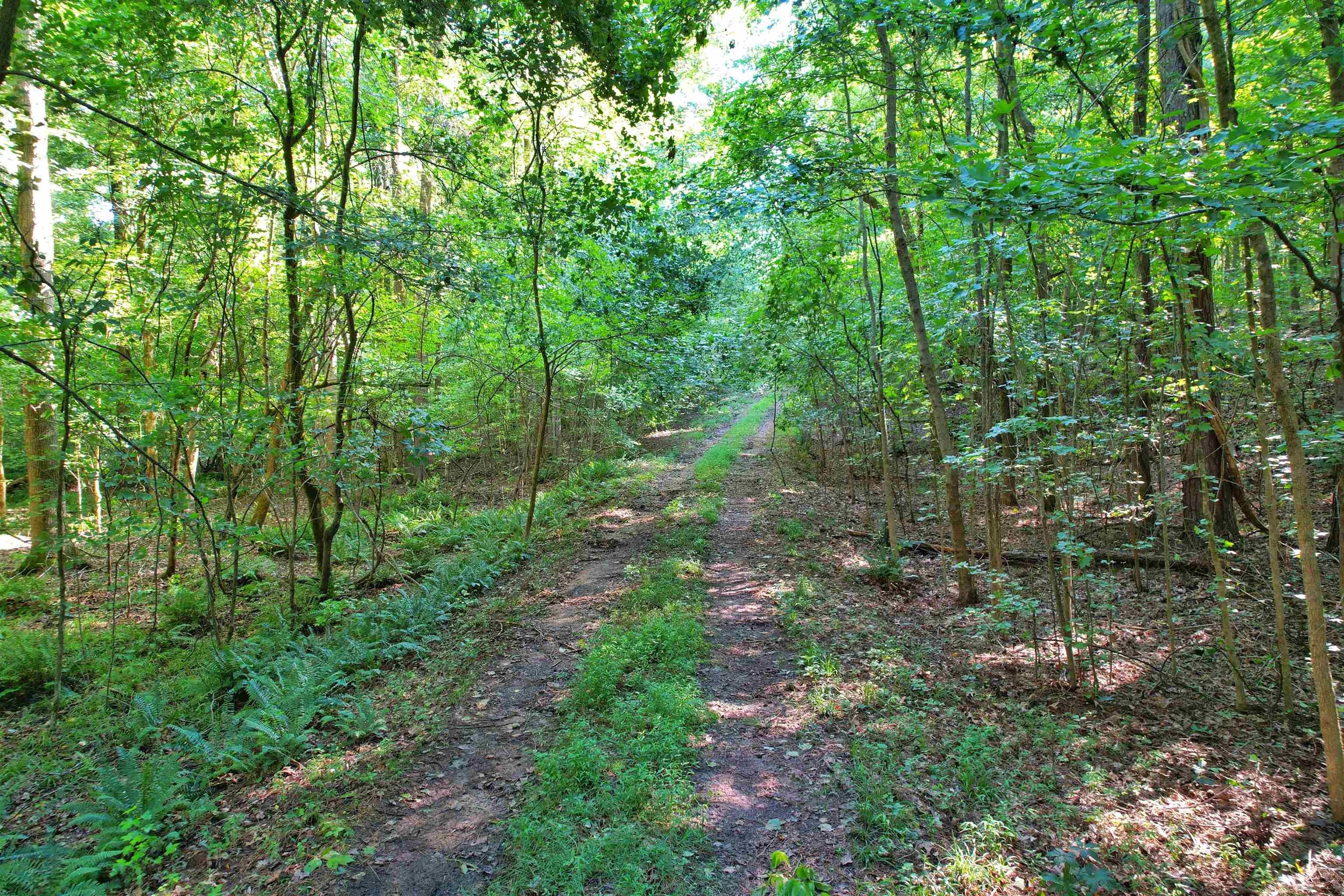 198.62 +/ AC APALACHEE WOODS TRAIL, Buckhead, GA 30625 MLS 65614 Land and Farm