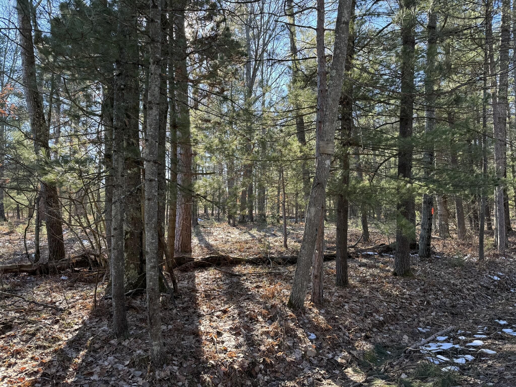 4.58 Acres, Parcel A Coates Hwy, Harrietta, MI 49638 Land and Farm