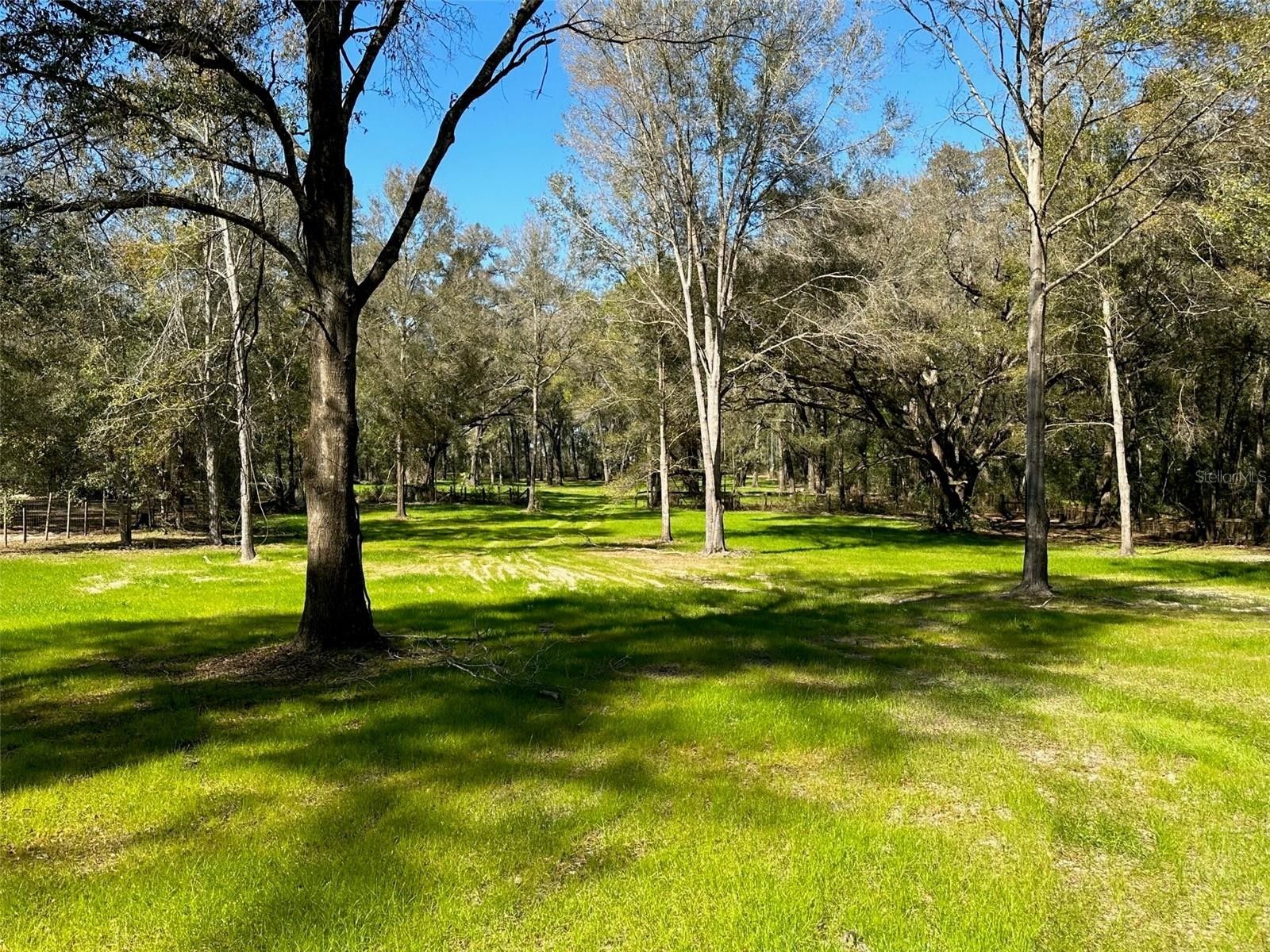 9200 SW 34 PLACE, Ocala, FL 34481 MLS OM673641 Land and Farm