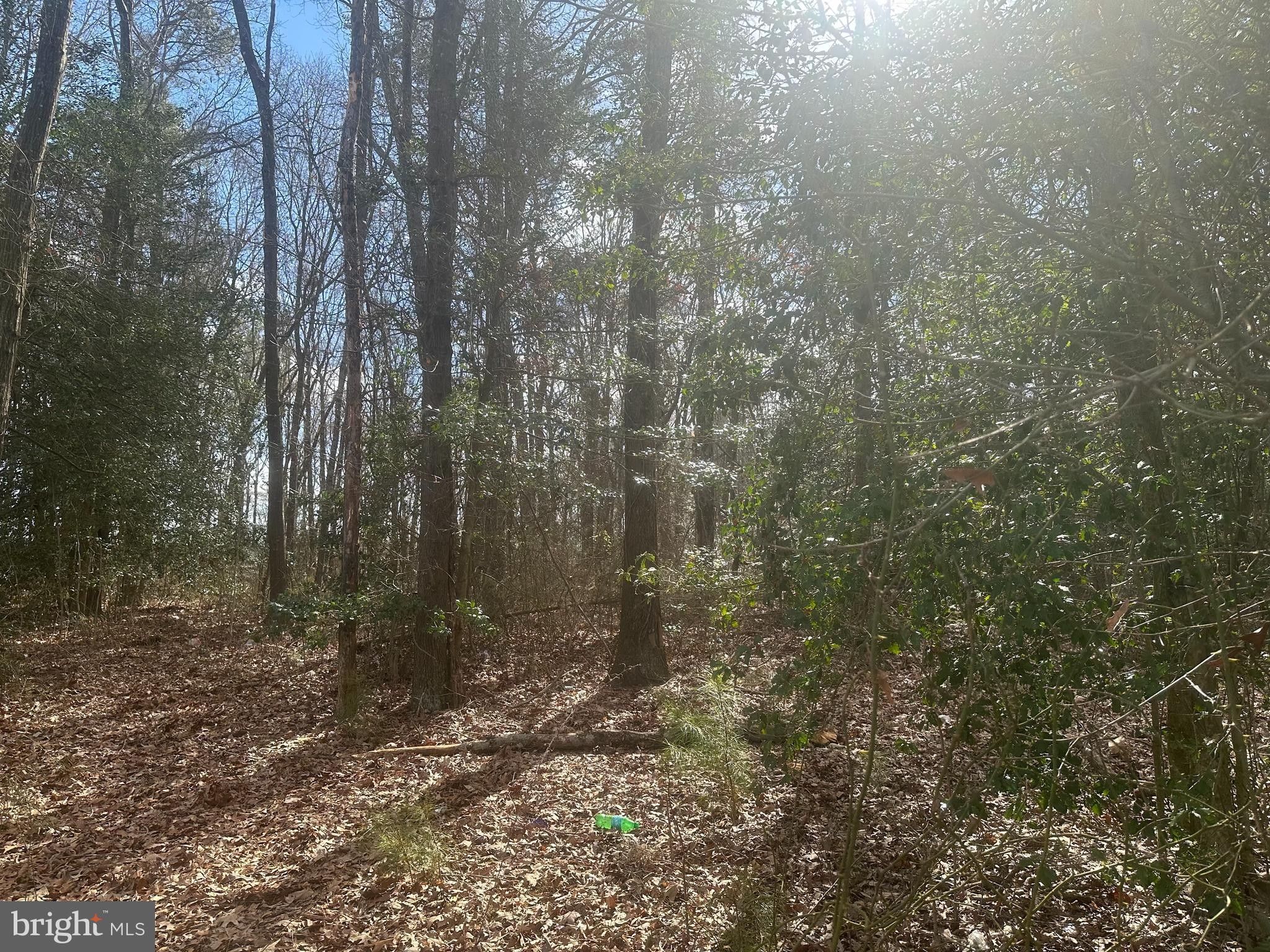 1 Acres, 0 E PRIVATE ROAD, Bridgeville, DE 19933 Land and Farm