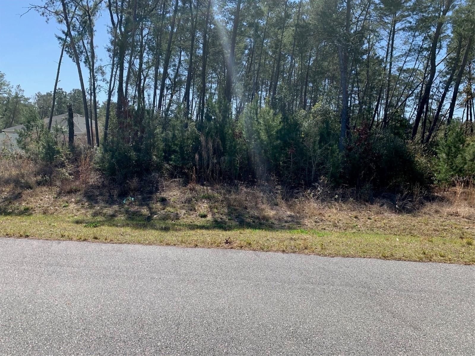 0.62 Acres, 0 SW 113 PLACE, Ocala, FL 34476 Land and Farm