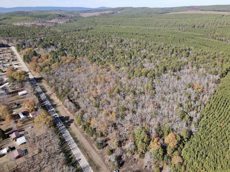 51 Acres, 000 State HWY 60, LotWP001, Plainview, AR 72857 Land and Farm