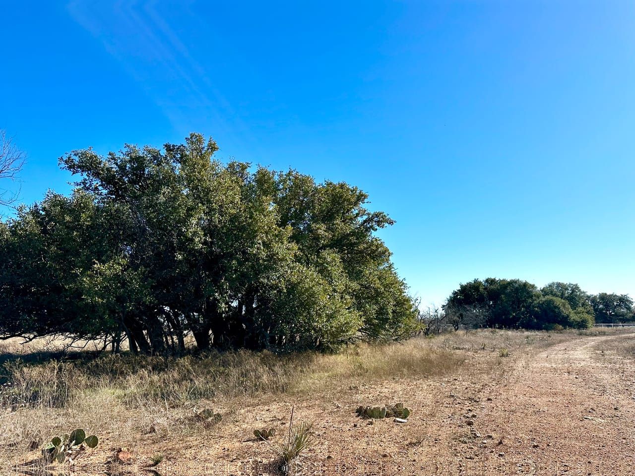 TBD Hwy 279, Cross Plains, TX 76443 MLS 20516209 Land and Farm