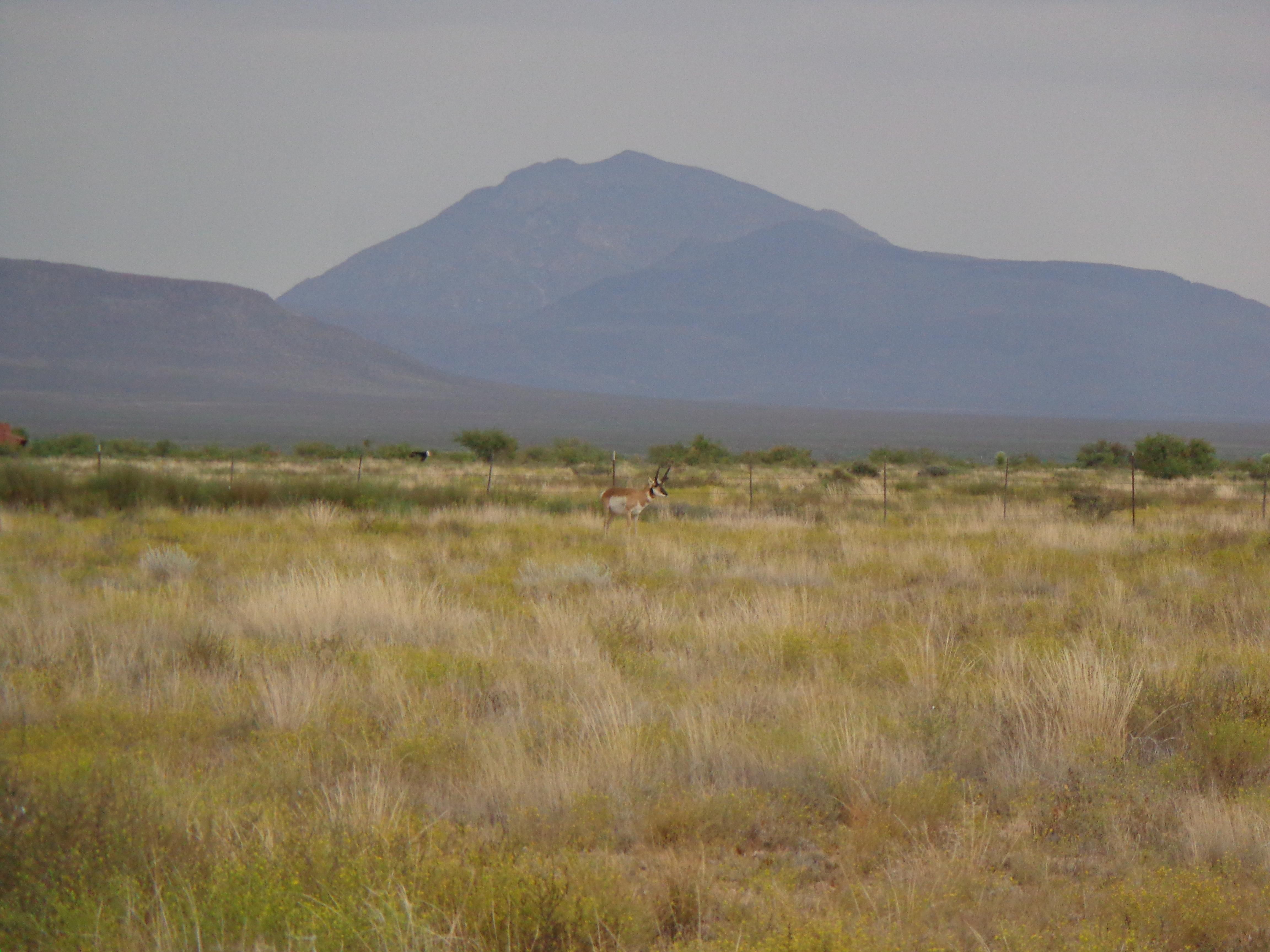 6,299 acres in Cornudas, TX, 79847 Land and Farm