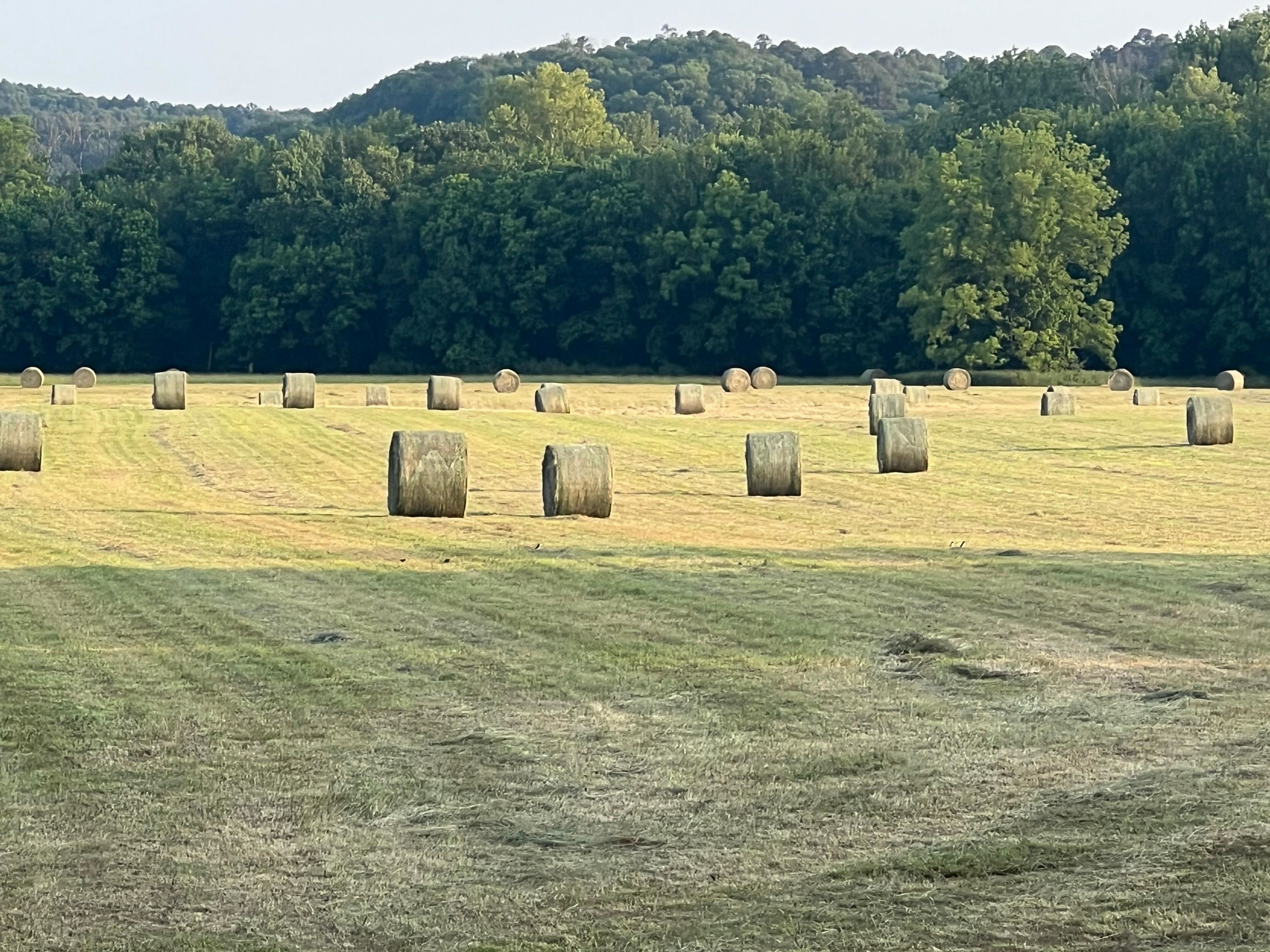 HWY 10 Scraper, Tahlequah, OK 74464 Land and Farm