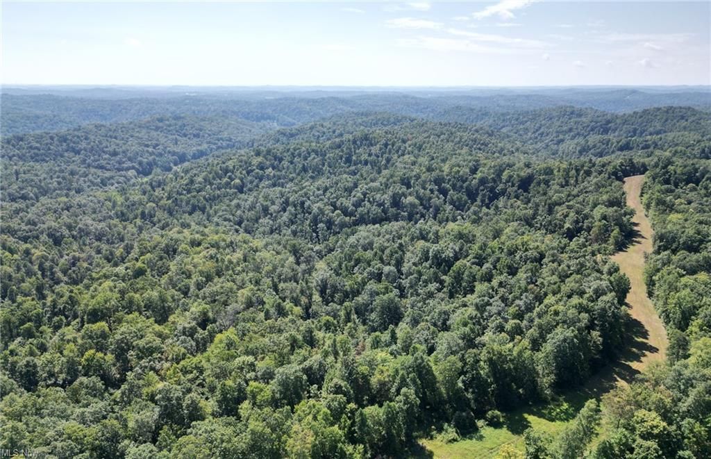 67.5 Acres, Pine Rd, Ellenboro, WV 26346 Land and Farm