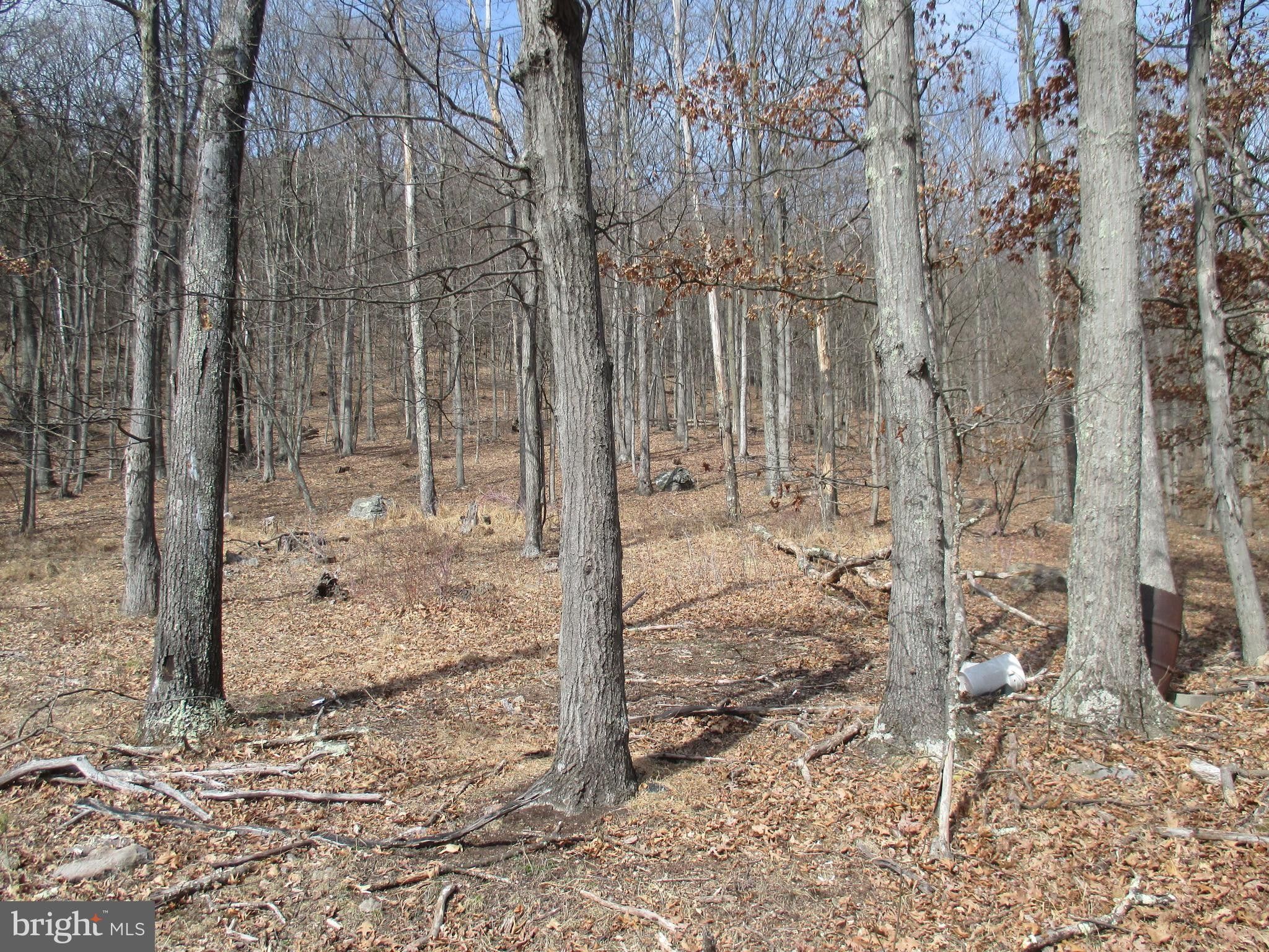 25.2 Acres, 272 SPLIT OAK LANE, Ridgeley, WV 26753 Land and Farm