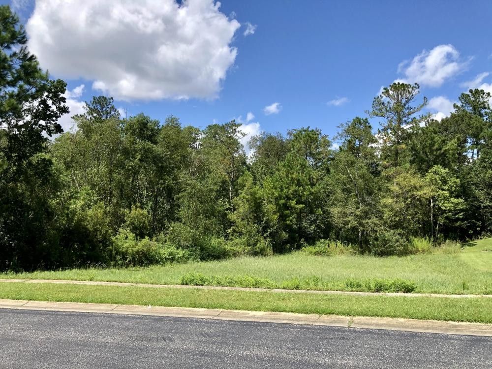 0.35 Acres, 32947 Boardwalk Drive, Spanish Fort, AL 36527 Land and Farm