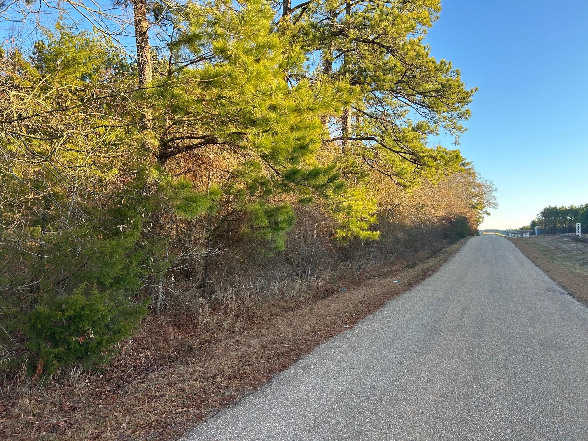 Boards Ferry Rd, Marshall, TX 75672 MLS 20241237 Land and Farm