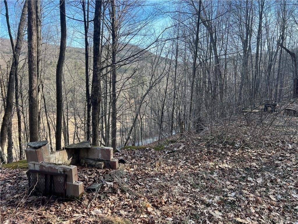 1.3 Acres, 25 Ragin Road, Roscoe, NY 12776 Land and Farm