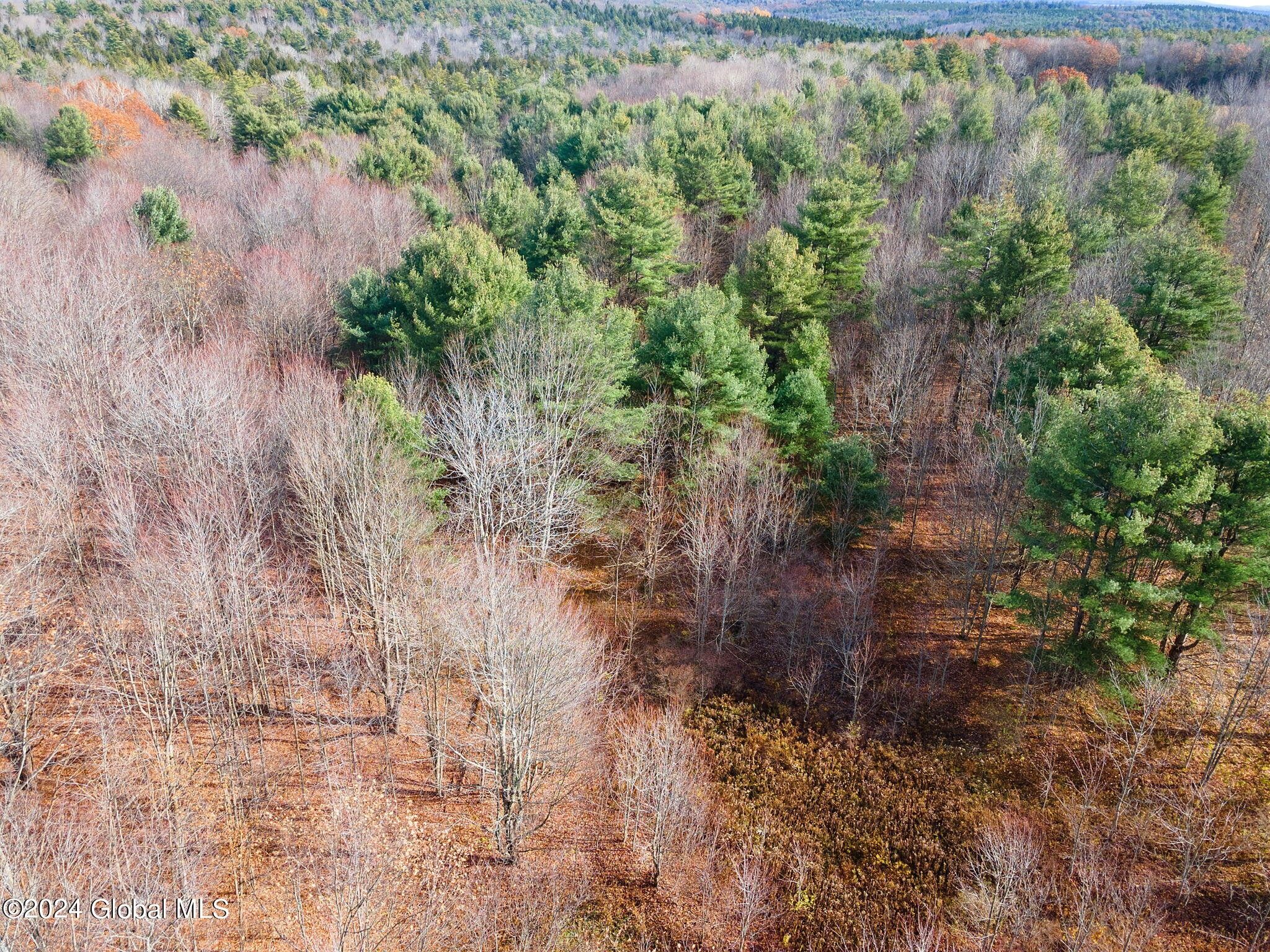 16.06 Acres, L5c Cornell Road, North Blenheim, NY 12131 Land and Farm